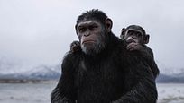 Nach "Planet der Affen 3": So könnte es mit der herausragenden Reihe weitergehen Nach "Planet der Affen 3": So könnte es mit der herausragenden Reihe weitergehen