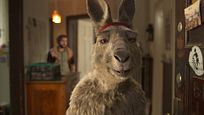 Gerade noch auf Platz 1 der Kinocharts, jetzt schon als Stream: "Die Känguru-Chroniken" bei Amazon und Co. Gerade noch auf Platz 1 der Kinocharts, jetzt schon als Stream: "Die Känguru-Chroniken" bei Amazon und Co.