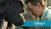 Neu auf Disney+ im September 2020: Tier-Abenteuer mit Mega-Cast & mehr Neu auf Disney+ im September 2020: Tier-Abenteuer mit Mega-Cast & mehr