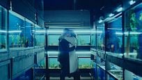"Contagion" trifft "Memento": Trailer zum Sci-Fi-Drama "Little Fish" "Contagion" trifft "Memento": Trailer zum Sci-Fi-Drama "Little Fish"