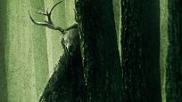 Ist das noch "Wrong Turn"? Die ersten Kritiken zum Horror-Reboot versprechen eine völlig neue Richtung Ist das noch "Wrong Turn"? Die ersten Kritiken zum Horror-Reboot versprechen eine völlig neue Richtung