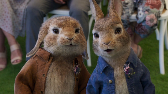 Peter Hase 2 - Ein Hase macht sich vom Acker Teaser DF