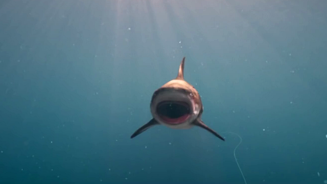 Deep Blue Sea 3 Trailer OV