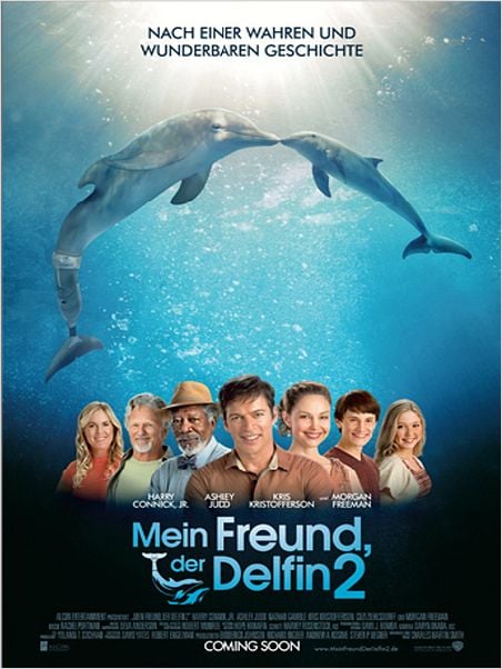 Mein Freund der Delfin 2