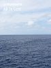 Bilder : All Is Lost