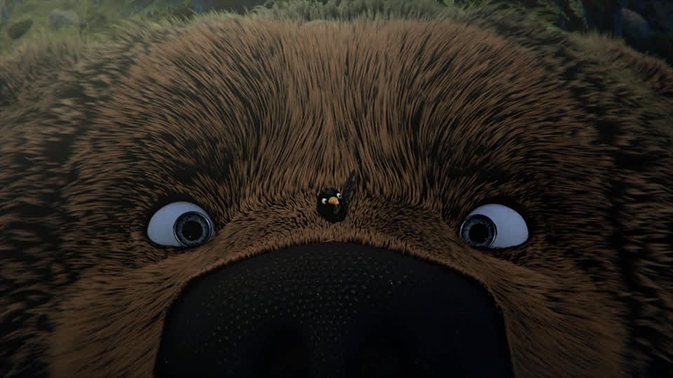 Der Große Bär Film Der Große Bär Film
