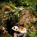 Bilder Moon the Panda