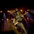 Bilder Slash