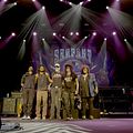Bilder Slash