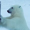 Bilder Snow 