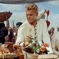 Bilder Tab Hunter