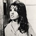Bilder Suzanne Pleshette