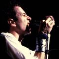 Bilder Joe Strummer