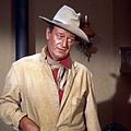 Bilder John Wayne