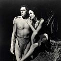 Bilder Johnny Weissmuller