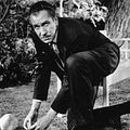 Bilder Vincent Price