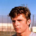 Bilder Maxwell Caulfield