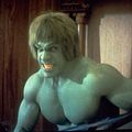 Bilder Lou Ferrigno