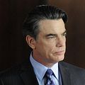 Bilder Peter Gallagher