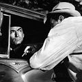 Bilder Gregory Peck