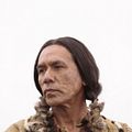 Bilder Wes Studi