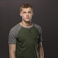 Bilder Levi Meaden