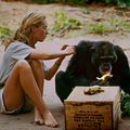 Bilder Jane Goodall