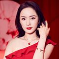 Bilder Yang Mi