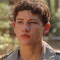 Bilder Tye Sheridan