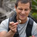 Bilder Bear Grylls