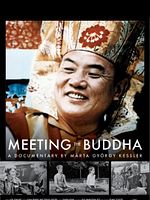Poster der Meeting The Buddha