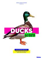 Poster der Ducks