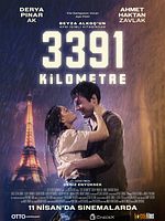 Poster der 3391 Kilometer