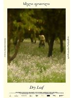 Poster der Dry Leaf