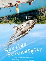 Poster der Sommerliche Zufälle 