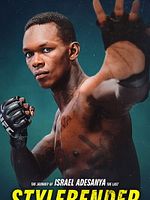 Poster der Stylebender