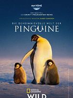 Bild von Die geheimnisvolle Welt der Pinguine