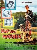 Poster der Ruf der Wälder