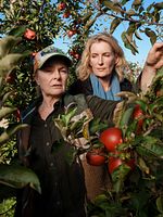 Poster der Tatort: Letzte Ernte