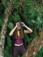 Poster der Gemstones 