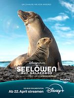 Poster der Seelöwen auf Galápagos