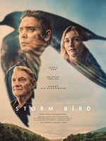 Poster der Storm Bird