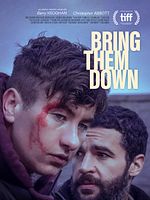 Poster der Bring Them Down