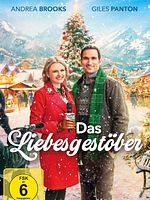 Poster der Das Liebesgestöber