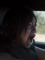 Poster der Staatsschutz