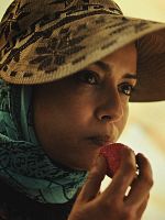 Poster der Strawberries