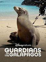 Poster der Hinter den Kulissen der Seelöwen auf Galapagos