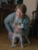 Poster der Kalter Hund