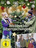 Poster der Weihnachtsüberraschungen