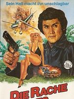 Poster der Die Rache des Einarmigen